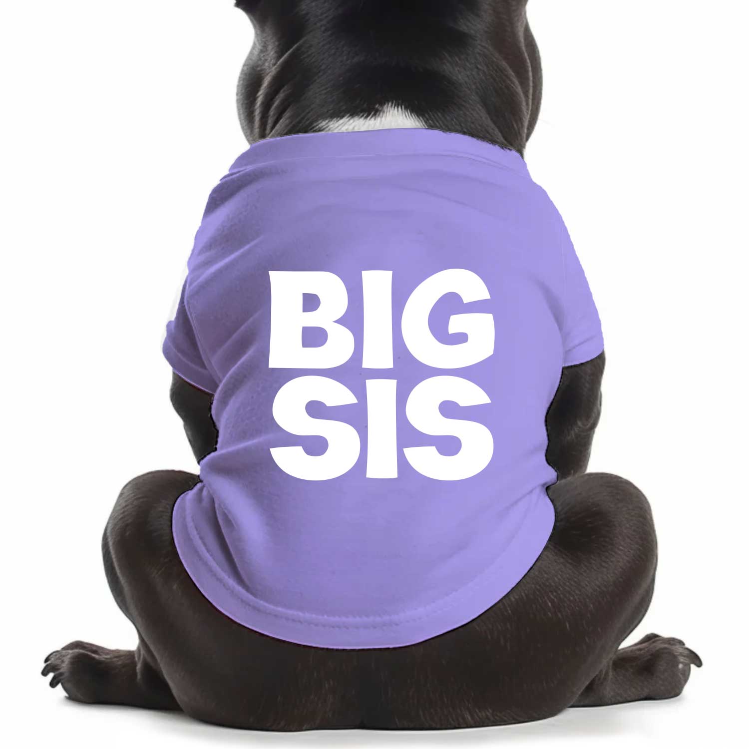 BIG SIS Dog T Shirt