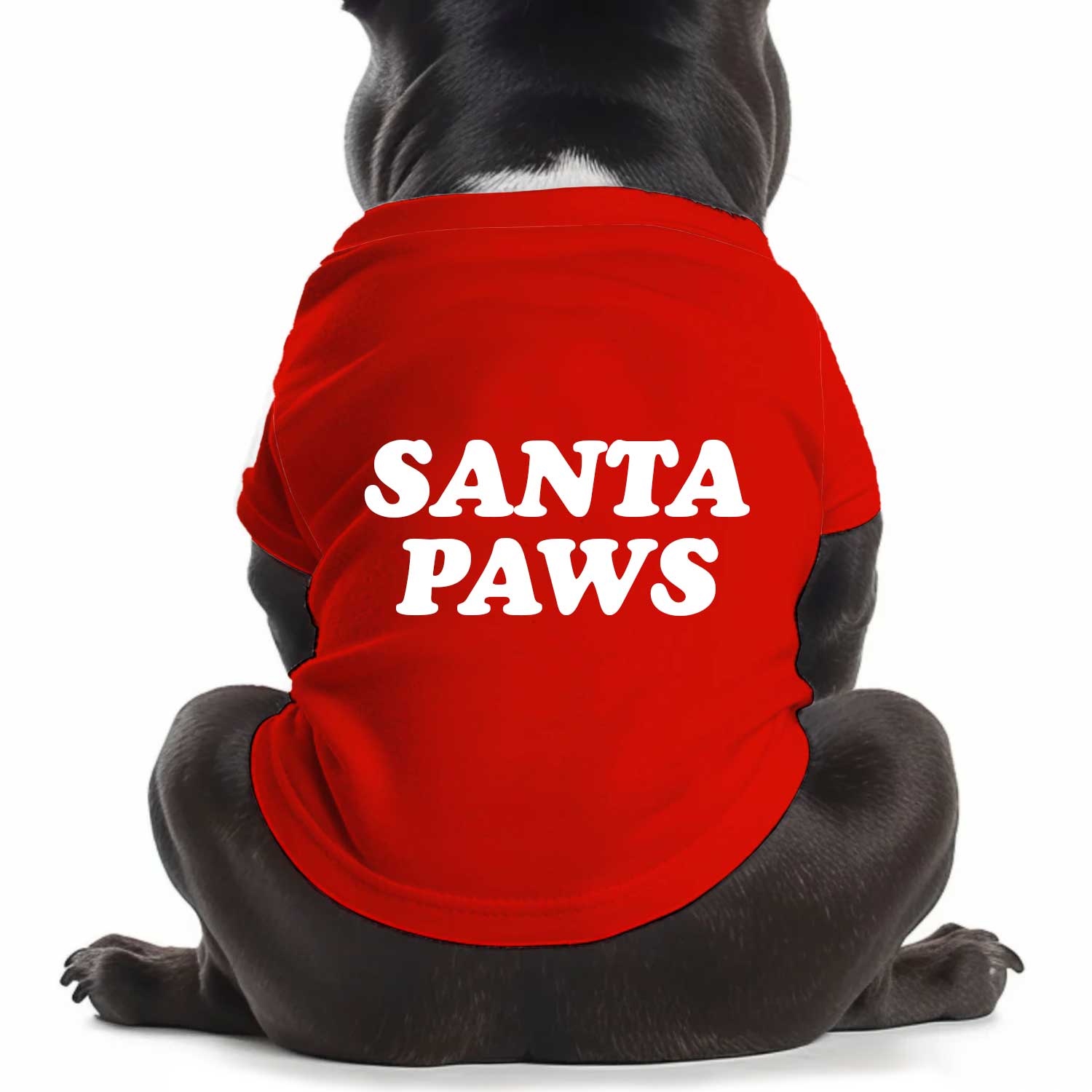 Santa Paws Dog T Shirt