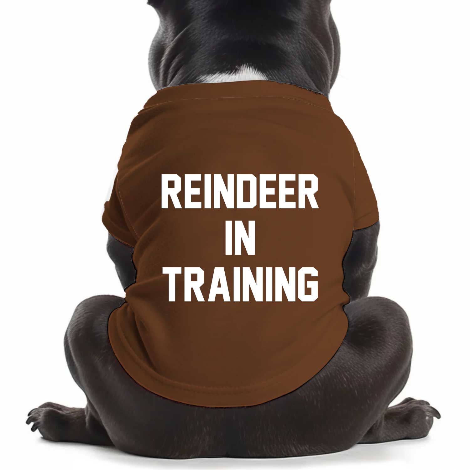 Reindeer In Training Dog T Shirt