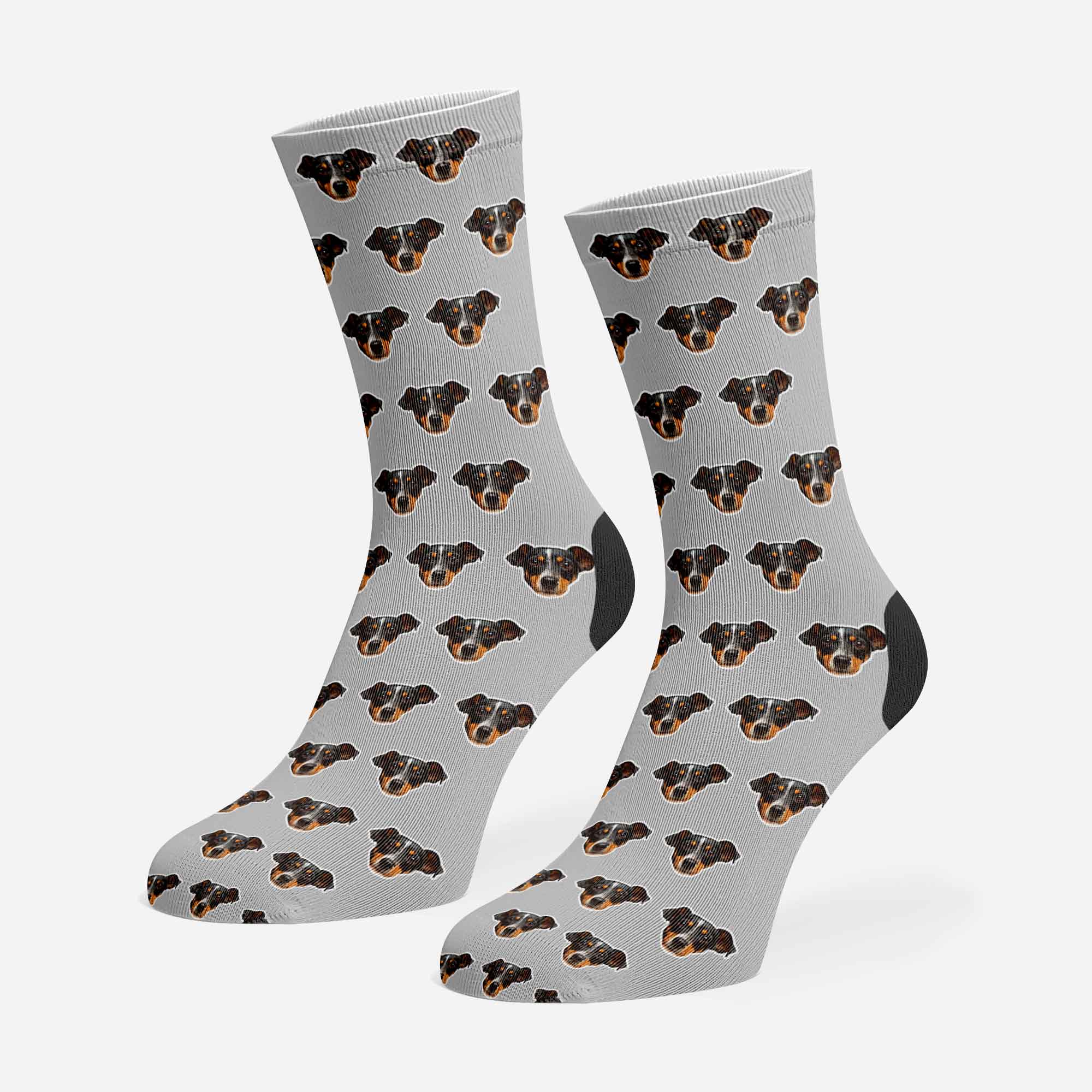 Pattern Dog Socks