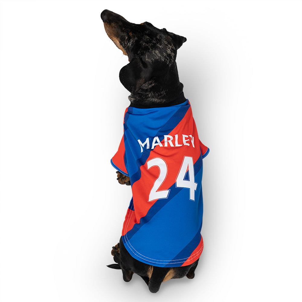 Crystal Palace Personalized Dog Shirt