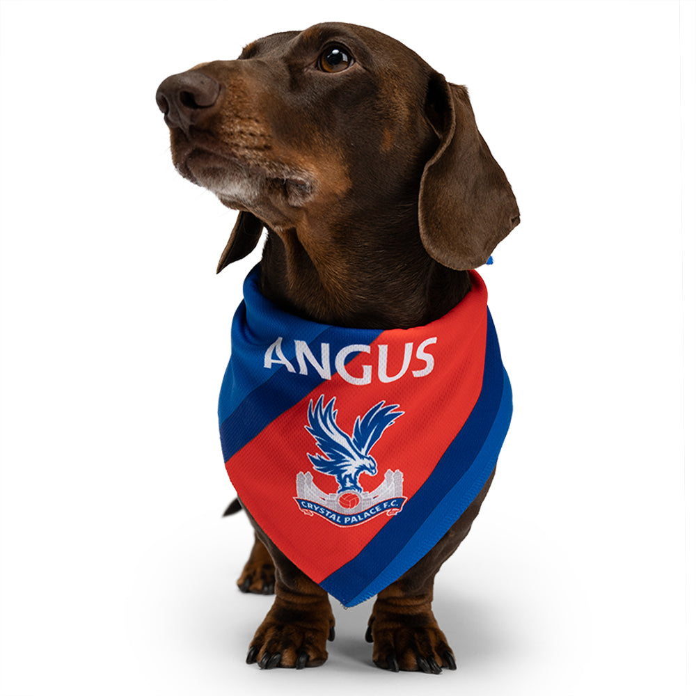 Personalized Crystal Palace Dog Bandana