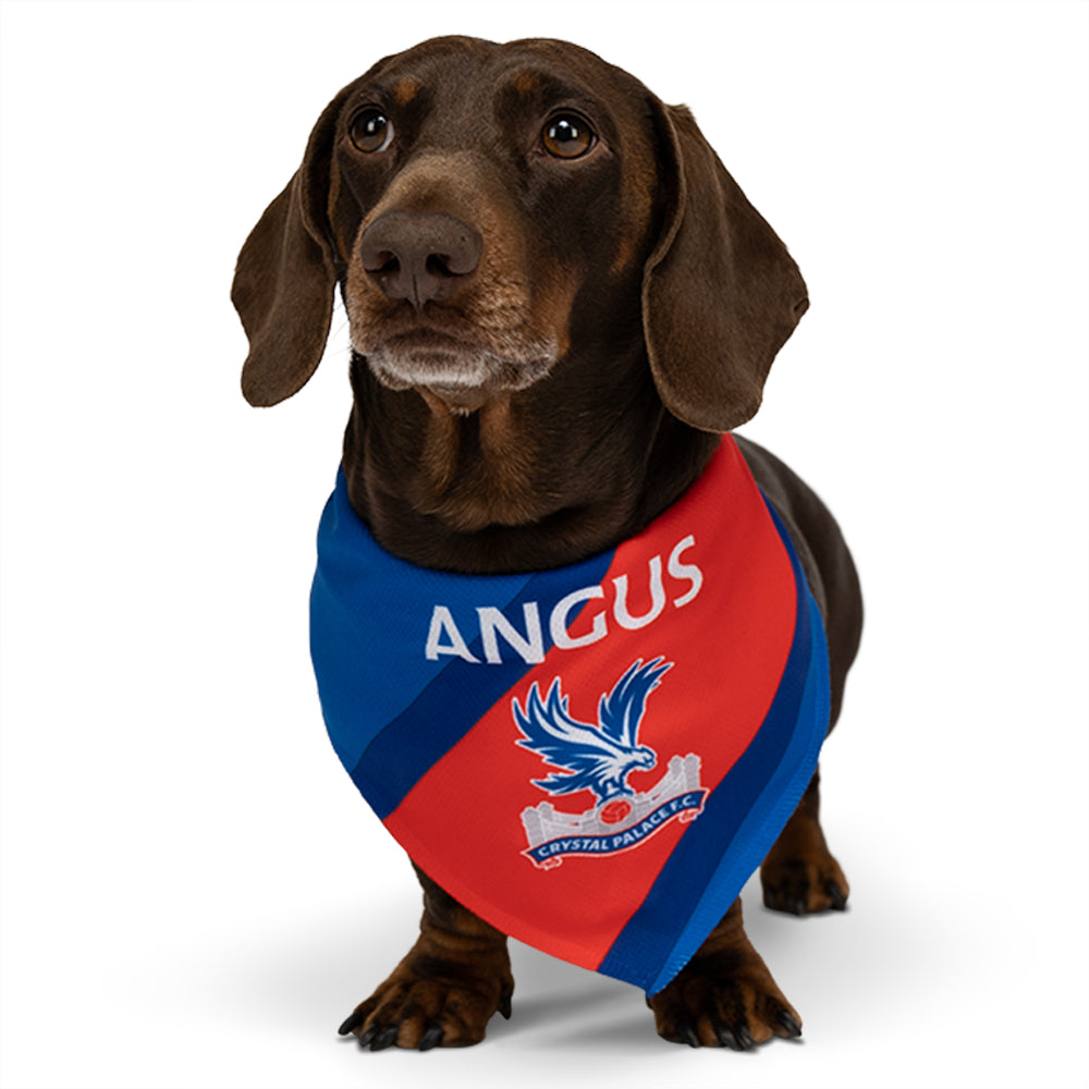 Personalized Crystal Palace Dog Bandana