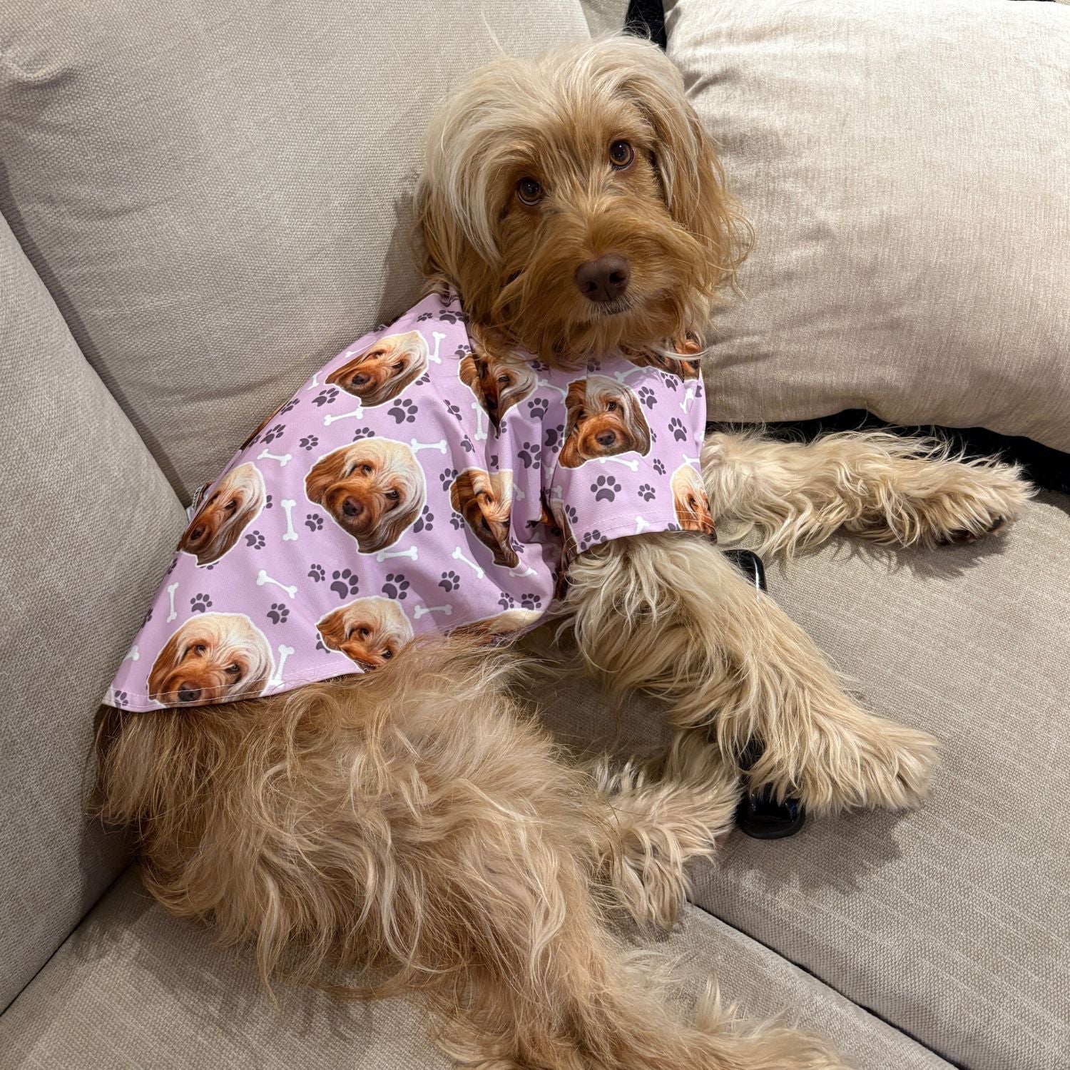 Dogsy Personalized Dog T Shirt