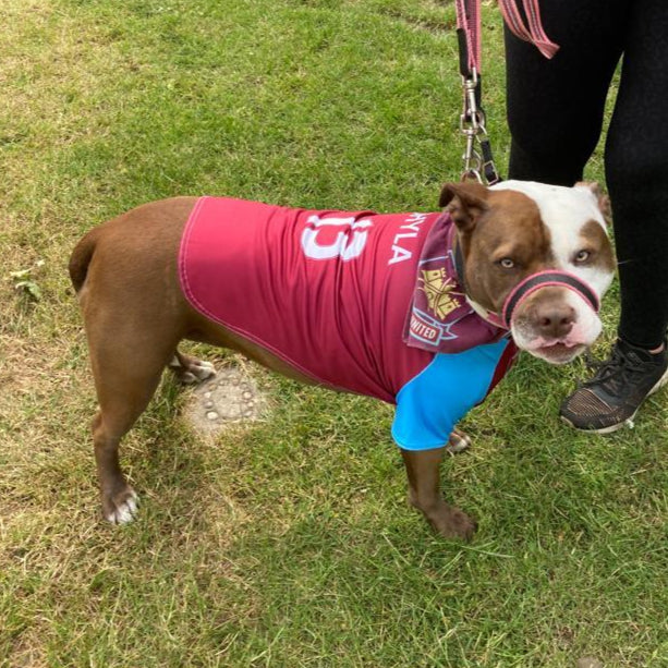 Personalized West Ham Dog Shirt