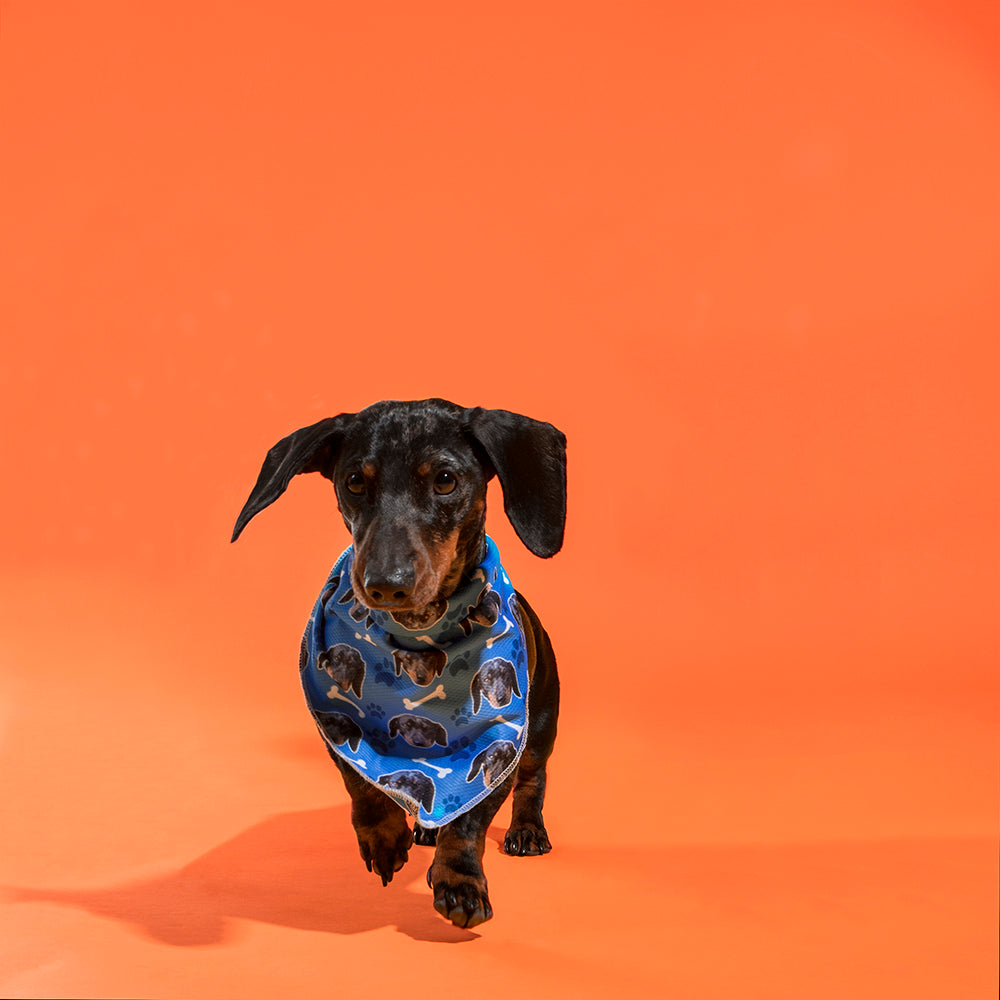 The Dogsy Personalized Bandana