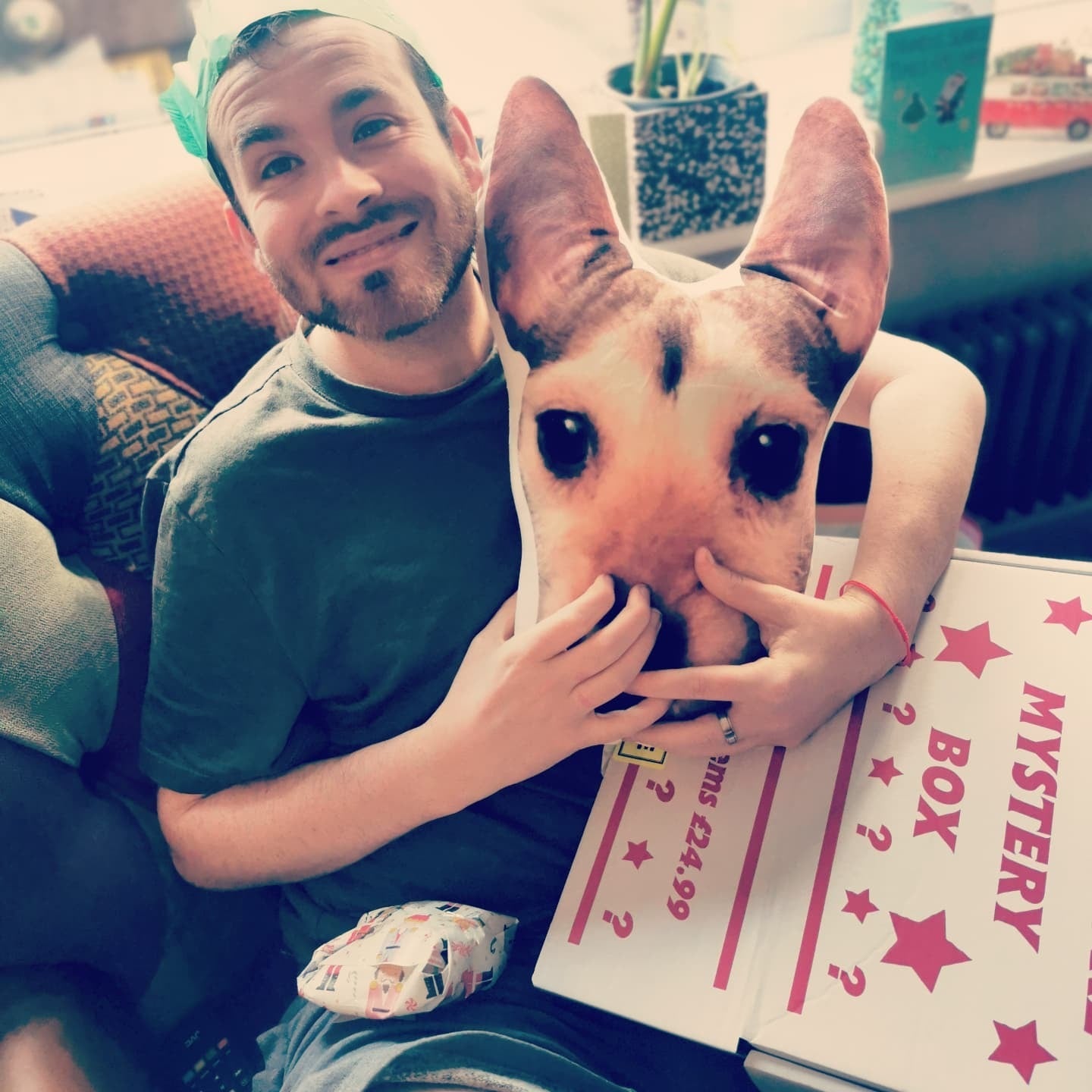 Dog Face Shaped Pillows