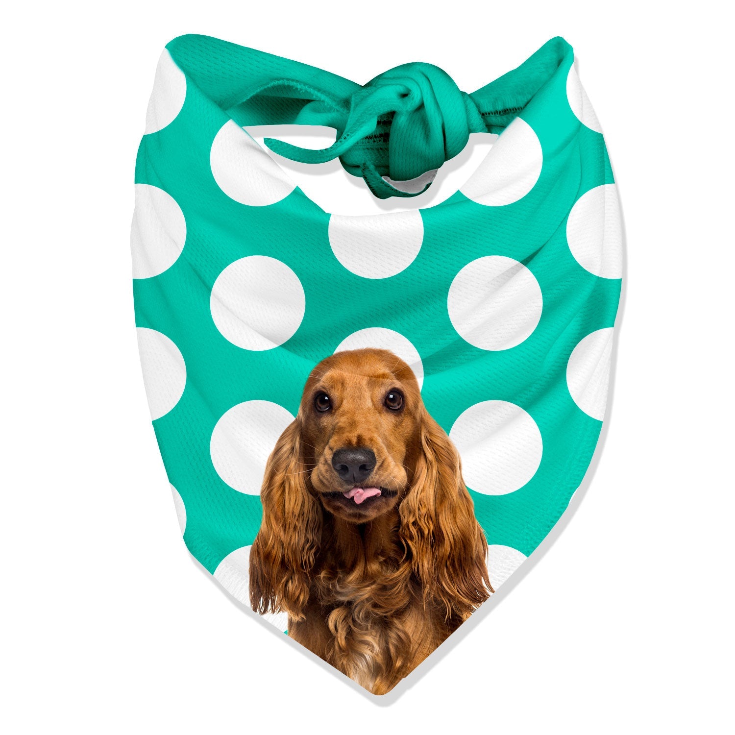 Dogzy Spotty Personalized Dog Bandana