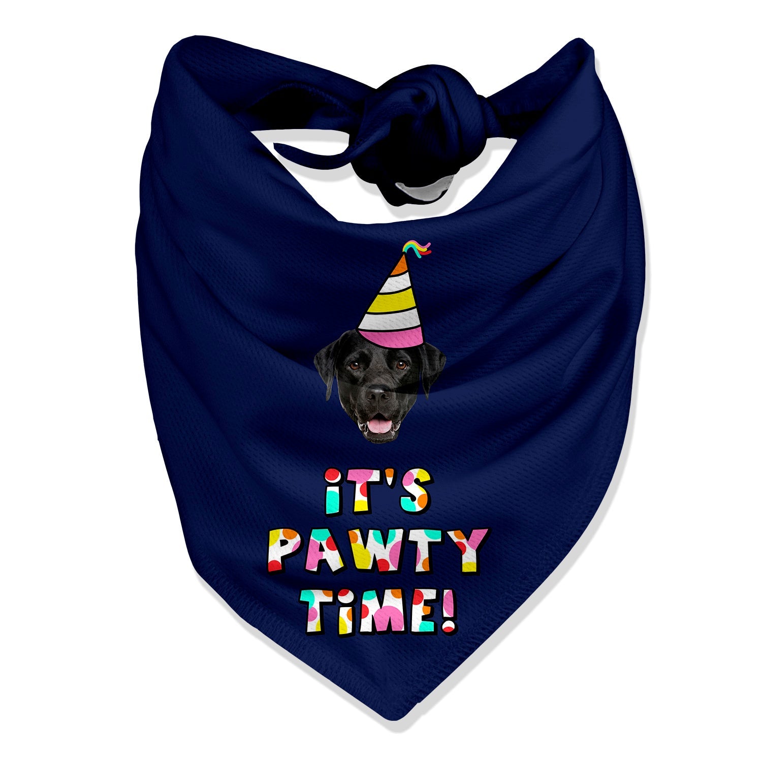 It's Pawty Time Personalized Dog Bandana