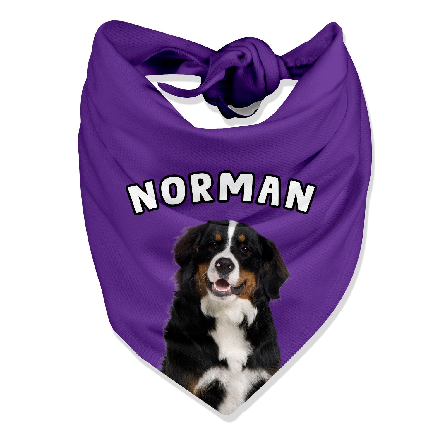 Personalized Name Dog Bandana