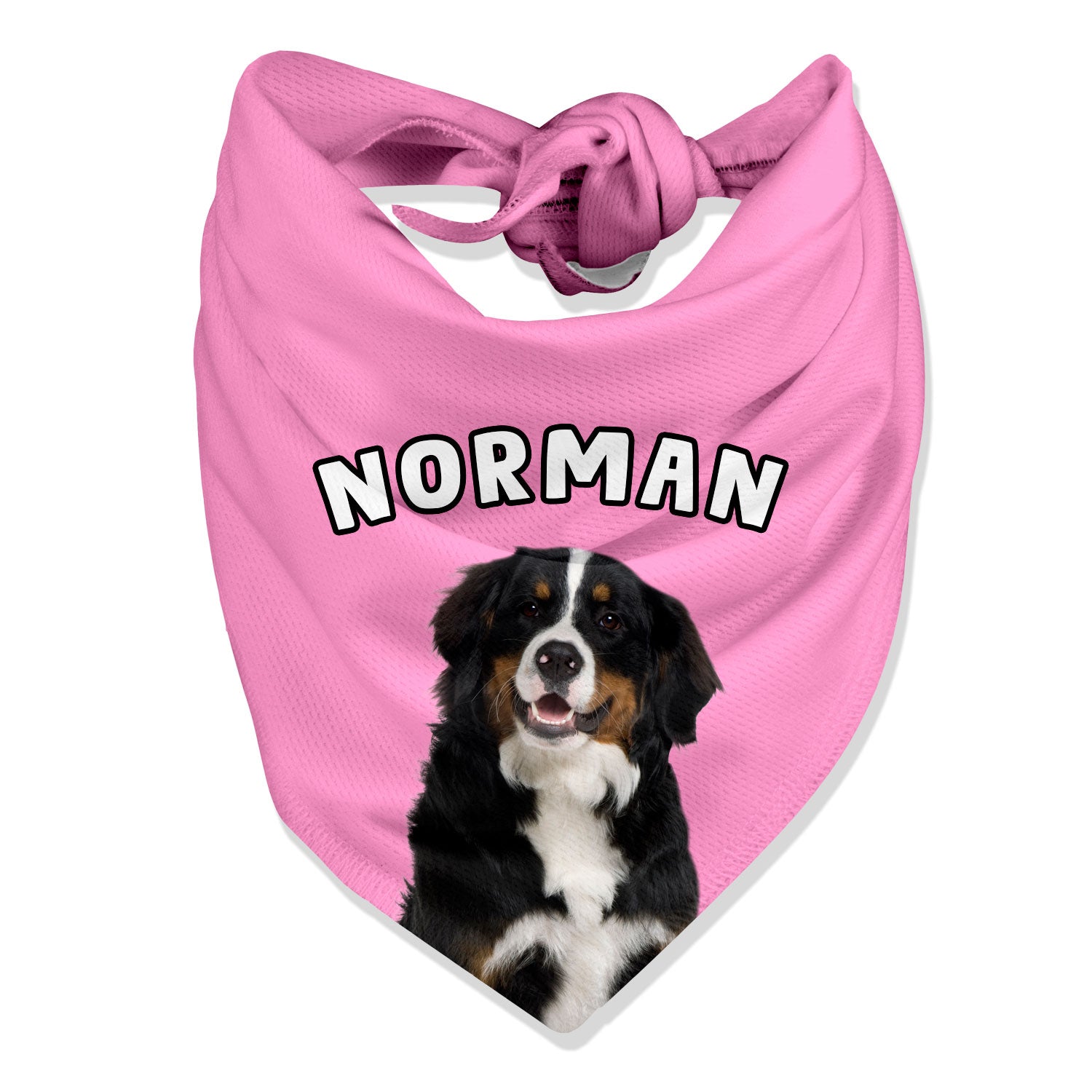 Personalized Name Dog Bandana