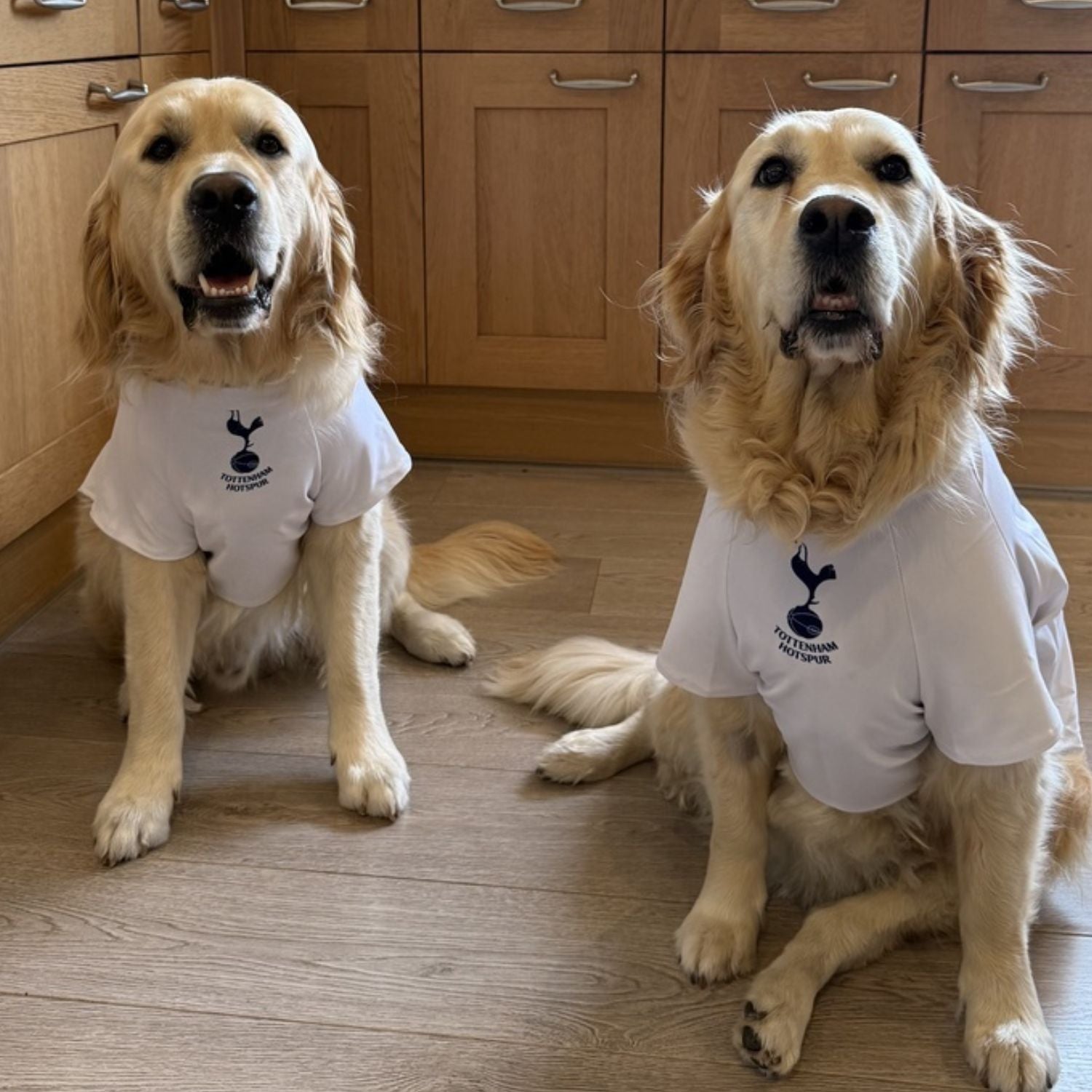 Personalized Spurs Dog Shirt