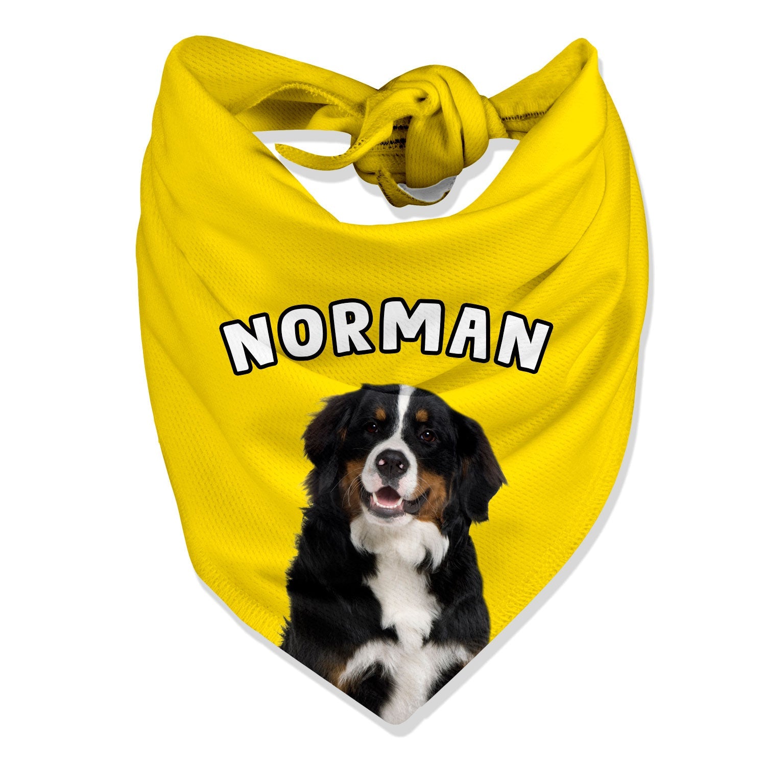 Personalized Name Dog Bandana