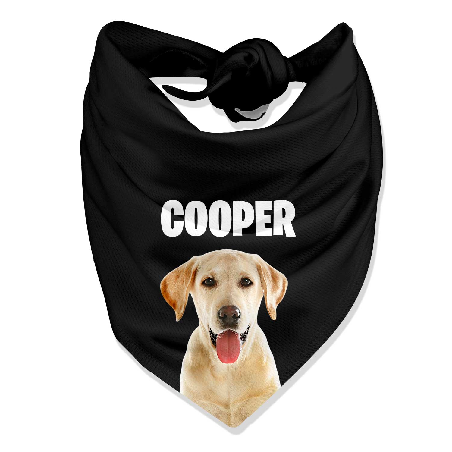Your Dog Name Personalized Bandana