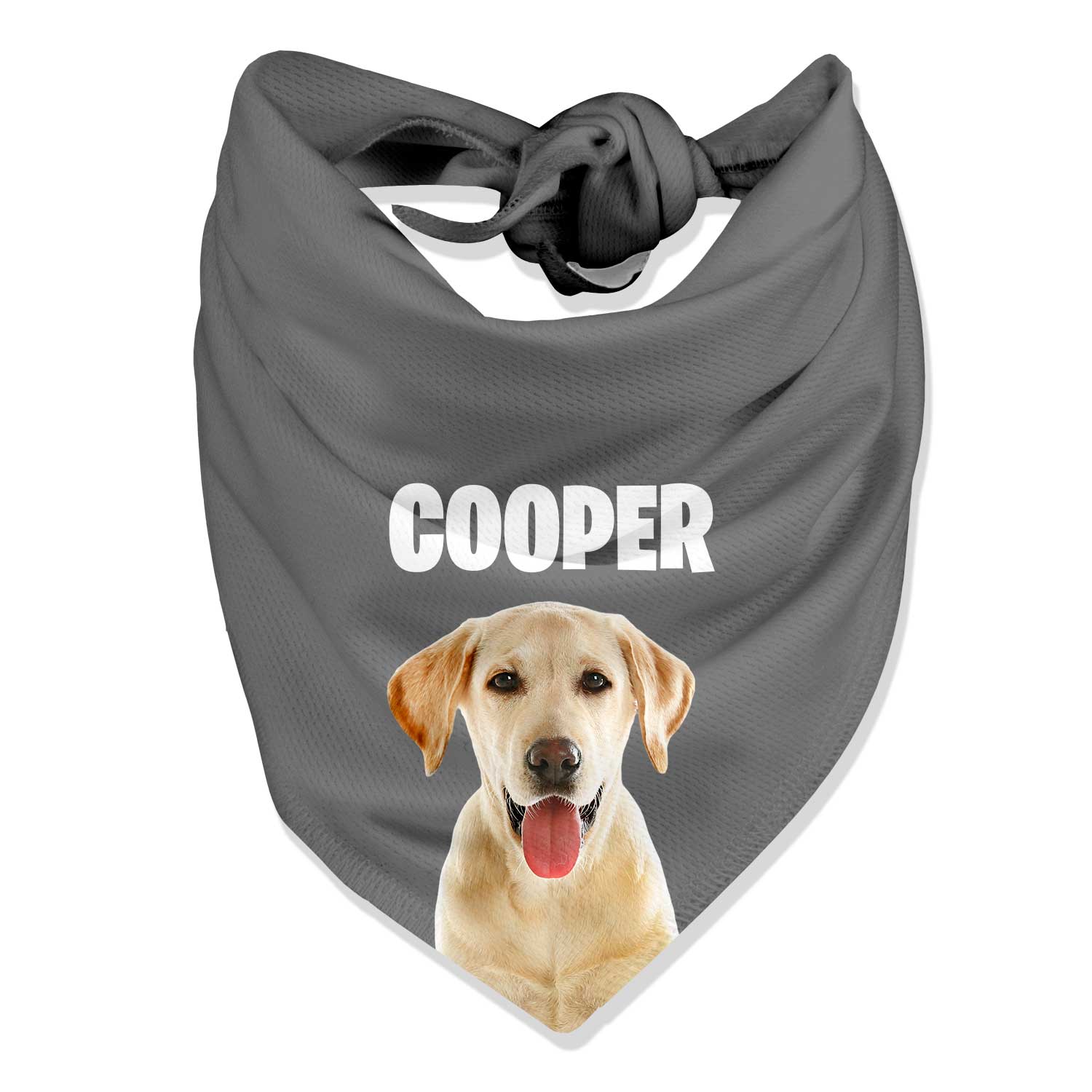 Your Dog Name Personalized Bandana