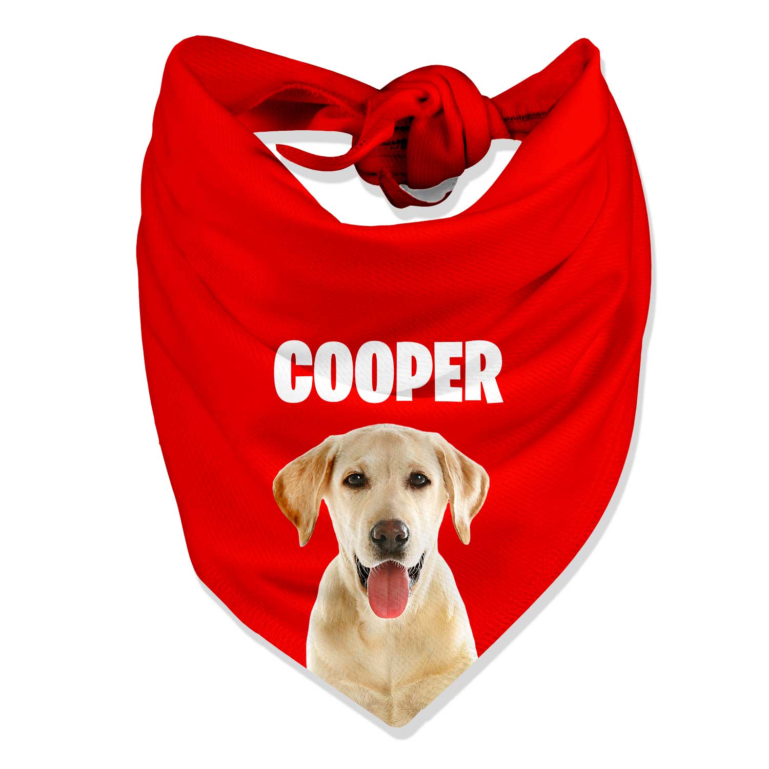 Your Dog Name Personalized Bandana