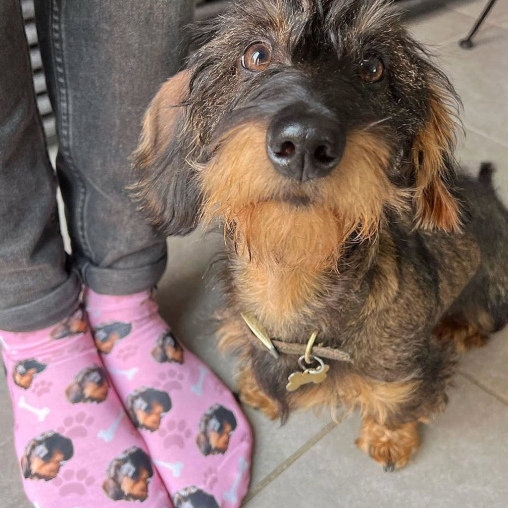 Your Dog On Kids Socks