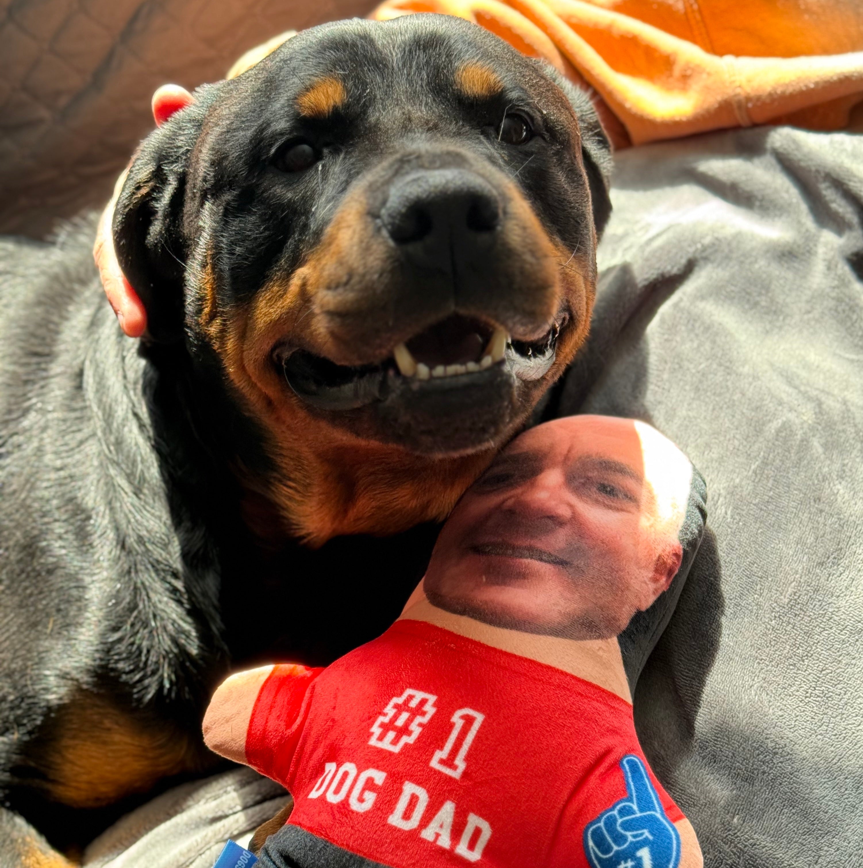 Number 1 Dog Dad Dog Toy