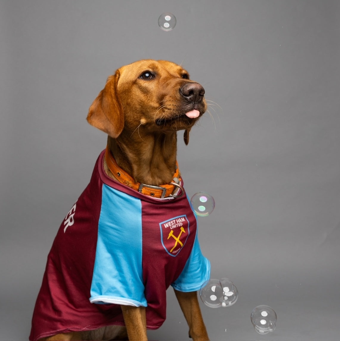 Personalized West Ham Dog Shirt