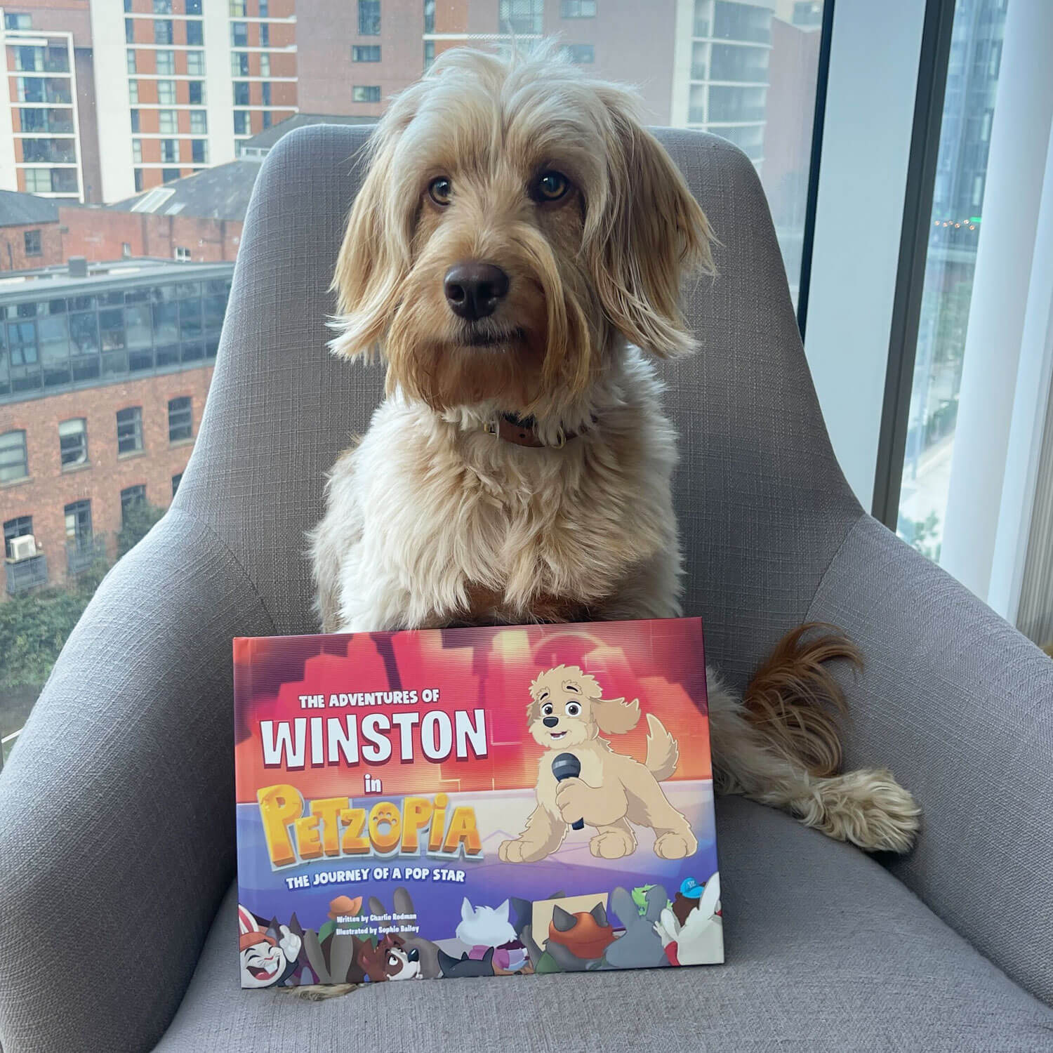 The Journey of a Pop Star Personalized Dog Storybook