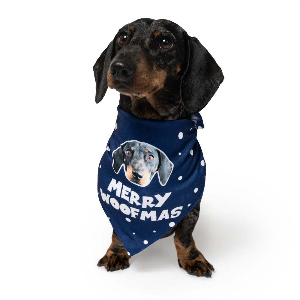 personalized christmas dog bandana