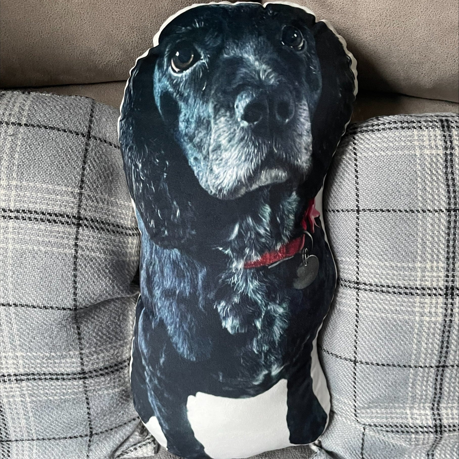 Dog Photo Shaped Pillow